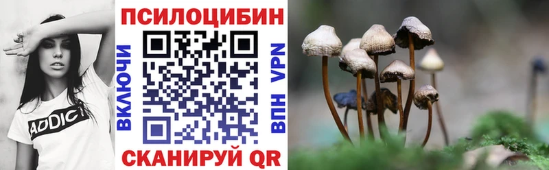 Галлюциногенные грибы MAGIC MUSHROOMS  Алагир 